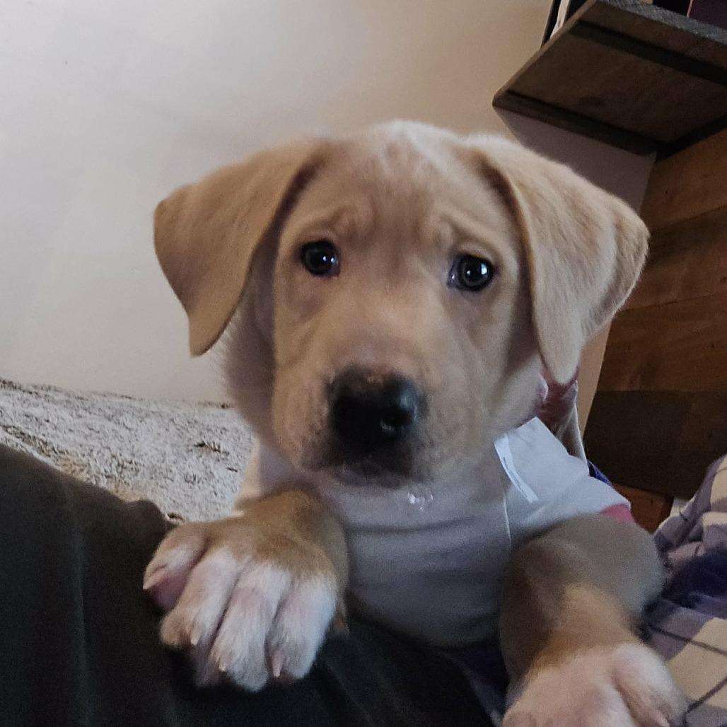 Pudge Jb thumbnail 2