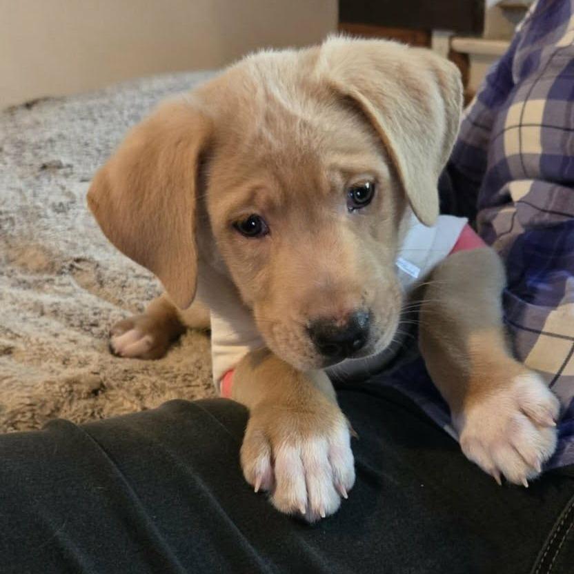 Pudge Jb thumbnail 3