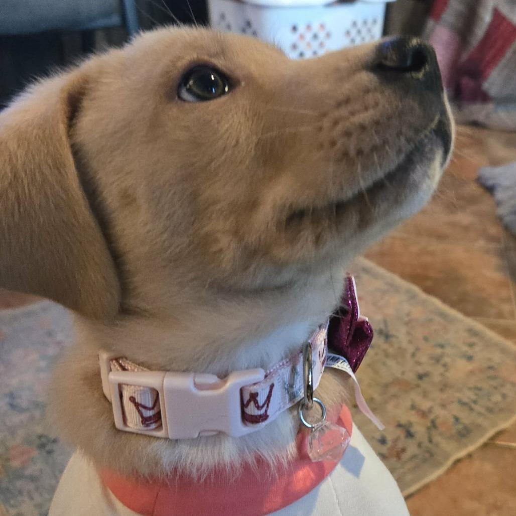 Pudge Jb thumbnail 4