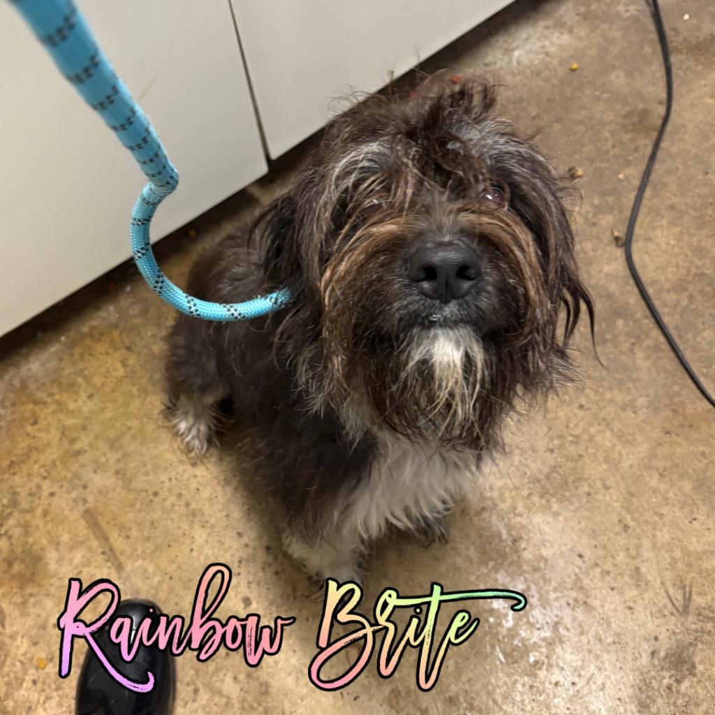 Rainbow Brite thumbnail 3