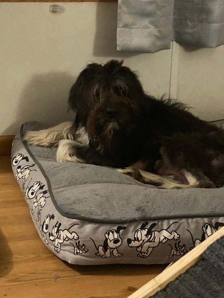 Rainbow Brite thumbnail 4