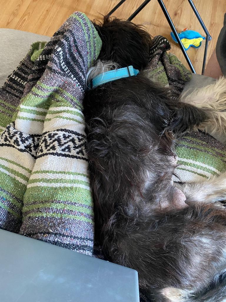 Rainbow Brite thumbnail 5