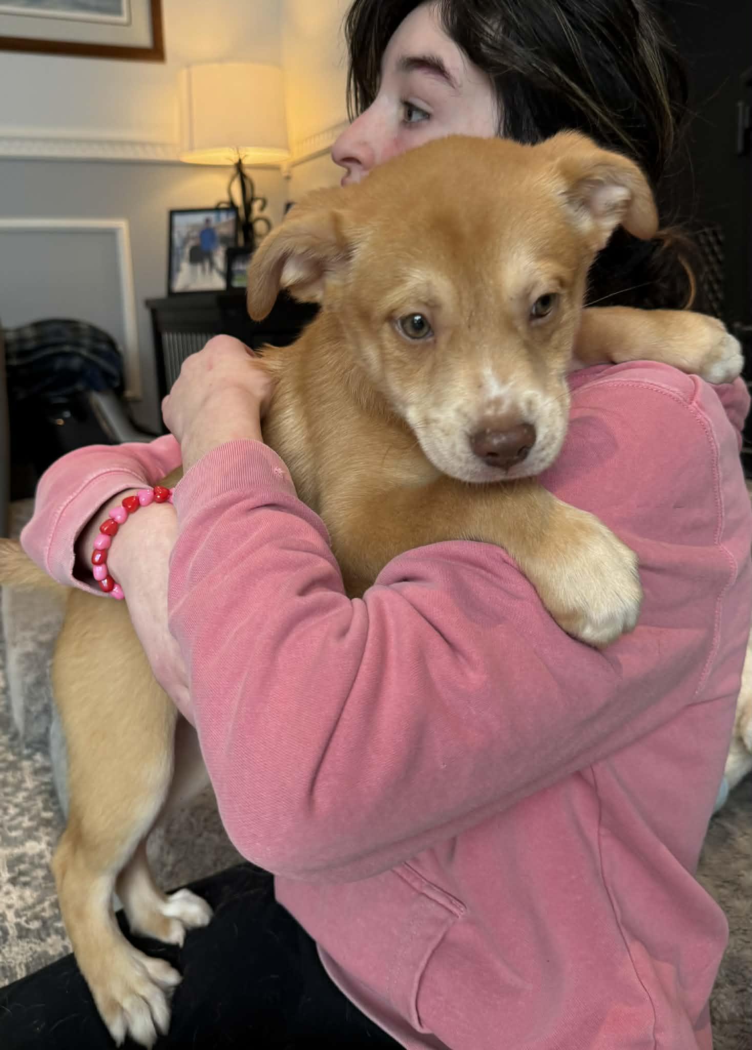 Schneider thumbnail 2