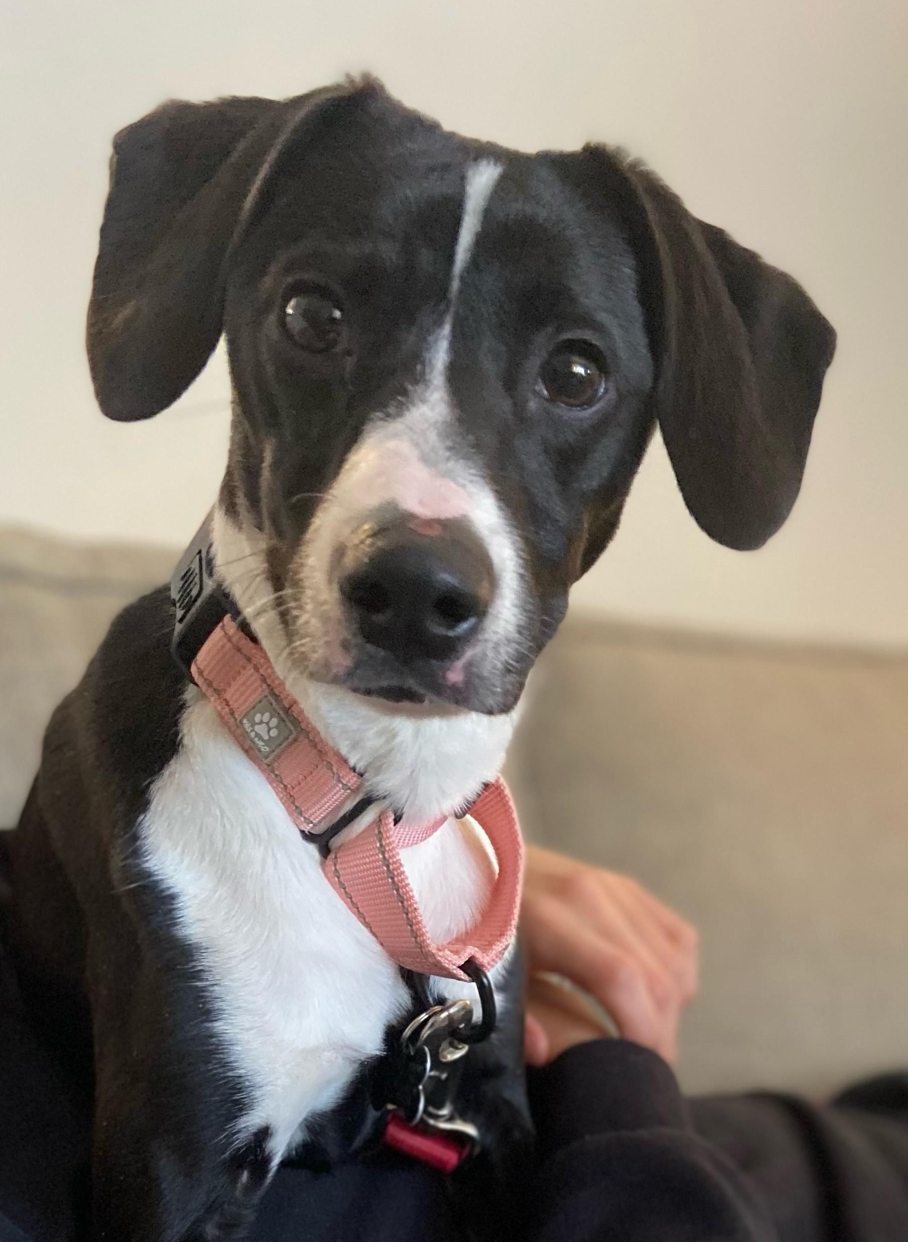 Princess thumbnail 2