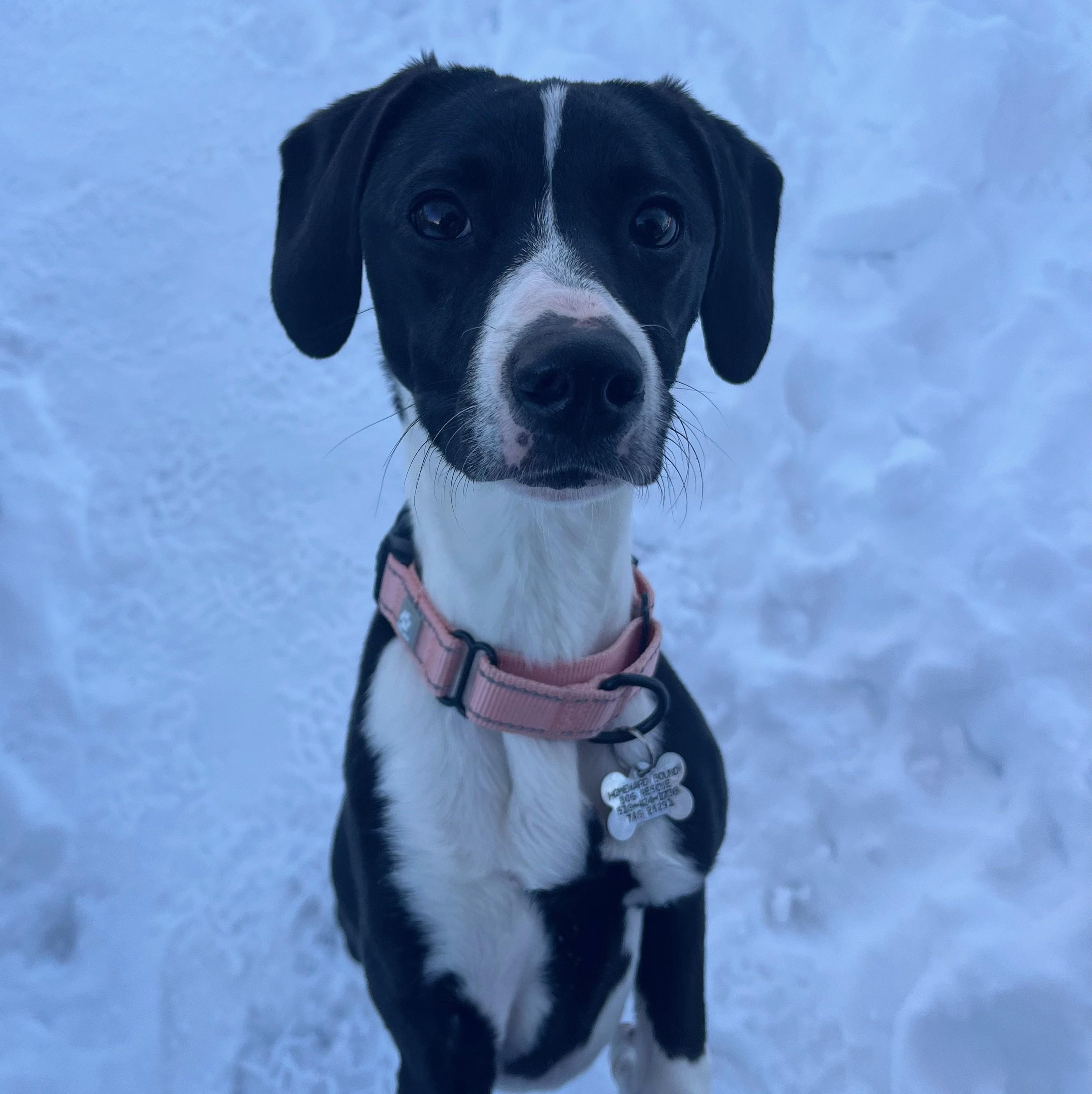 Princess thumbnail 4