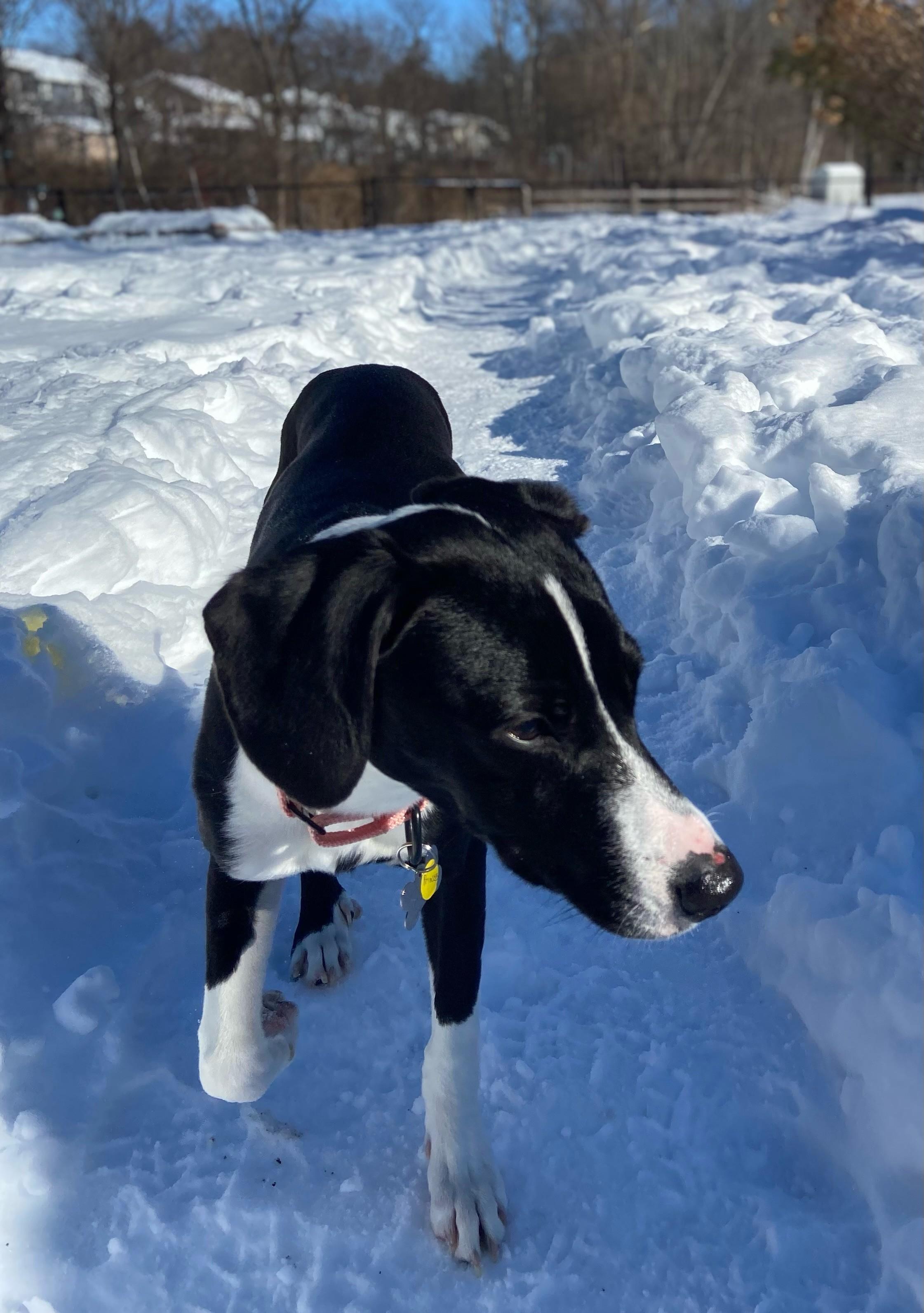 Princess thumbnail 6