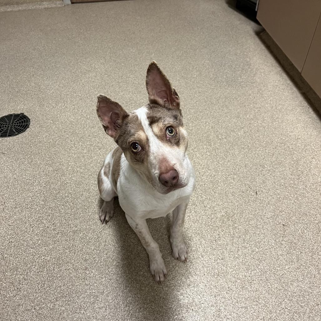 Smucker's thumbnail 2