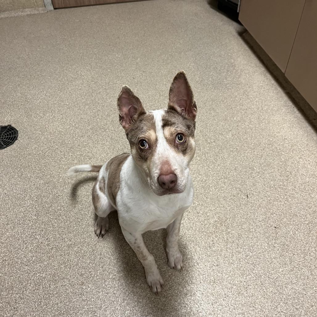 Smucker's thumbnail 3