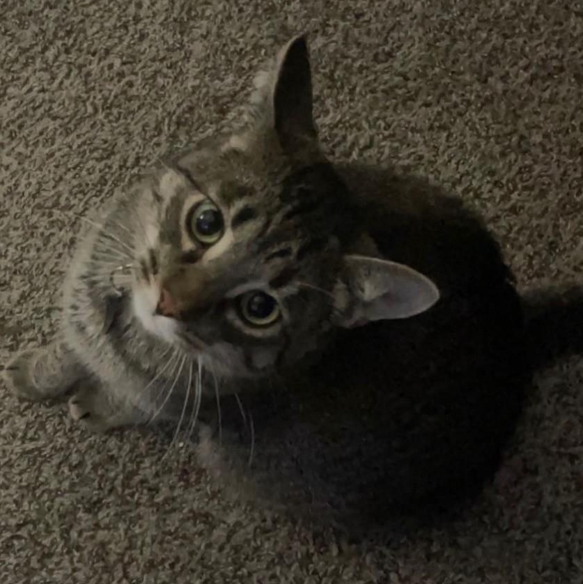 Slater  Courtesy Listing thumbnail 2