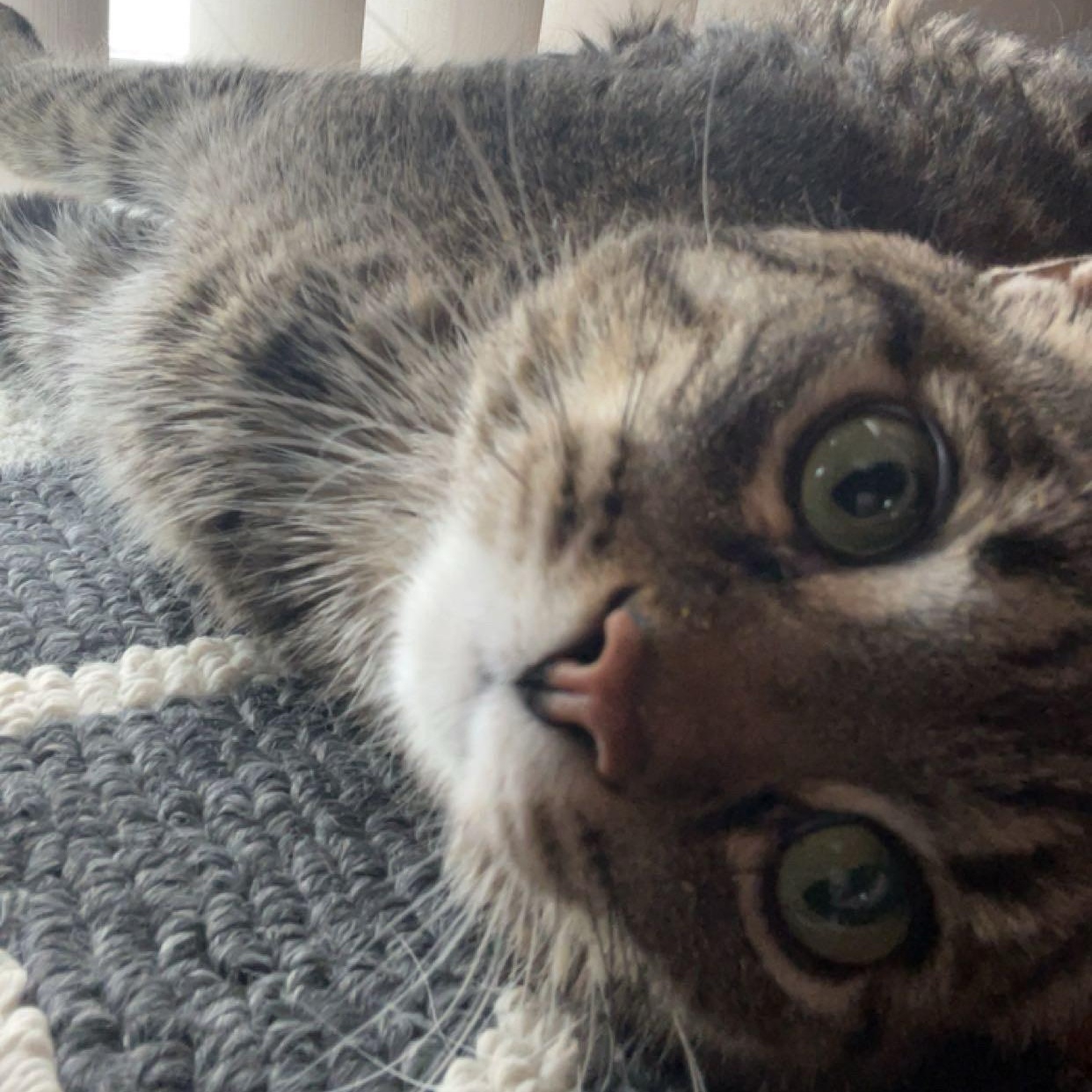 Slater  Courtesy Listing thumbnail 3