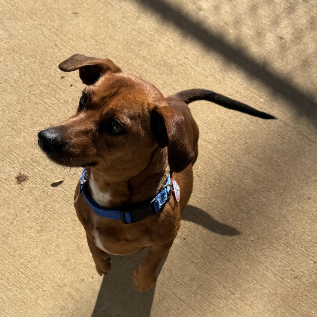 Maverick thumbnail 2