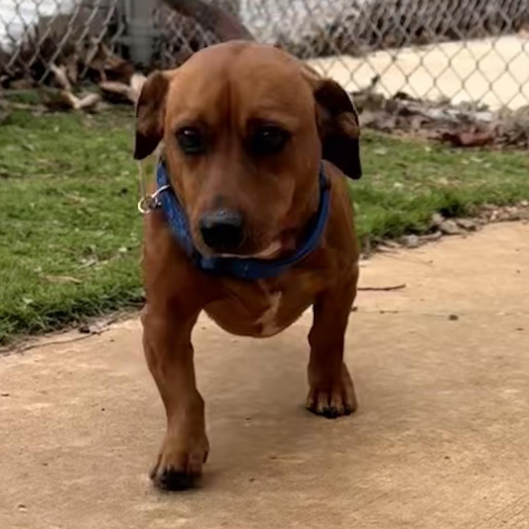 Maverick thumbnail 3