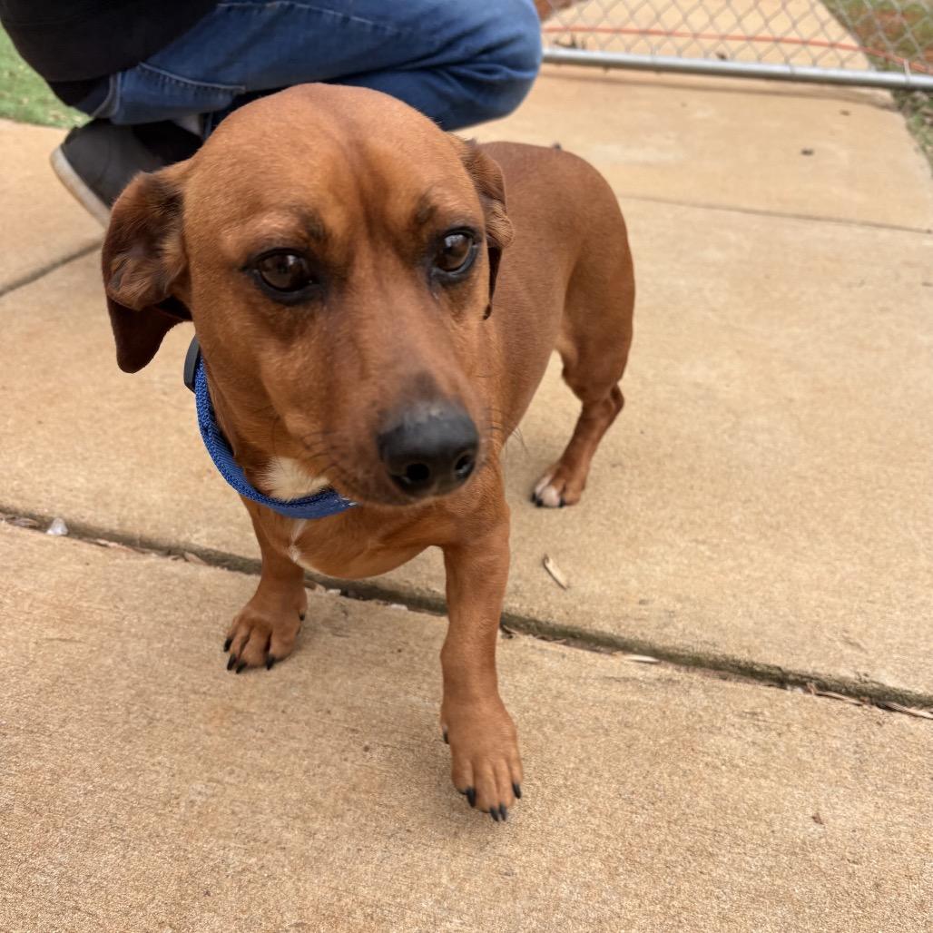 Maverick thumbnail 4