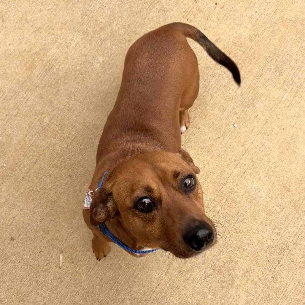 Maverick thumbnail 5