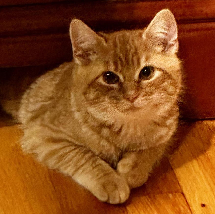 Sweet Potato thumbnail 3