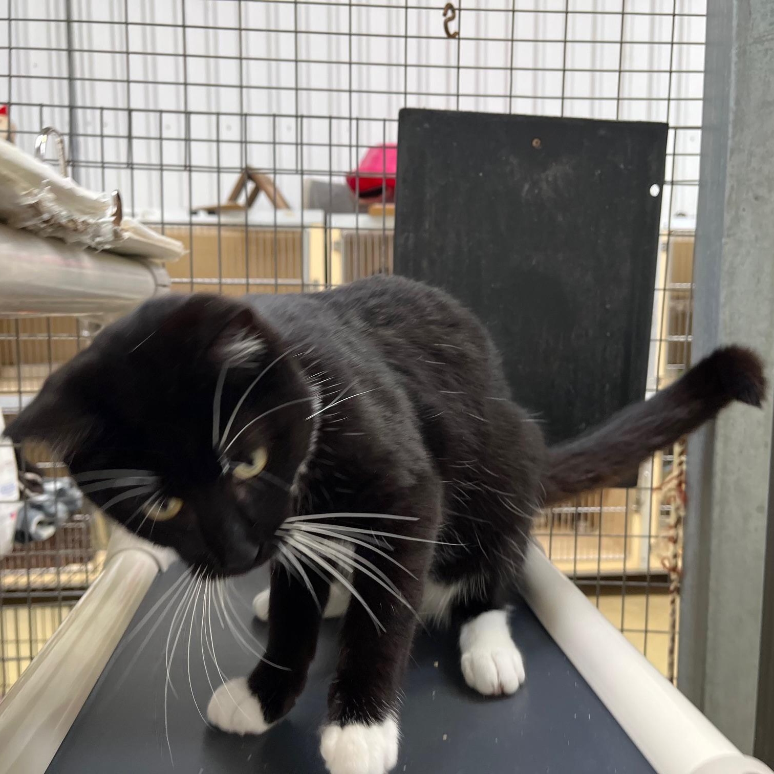 Spencer Tracy thumbnail 3