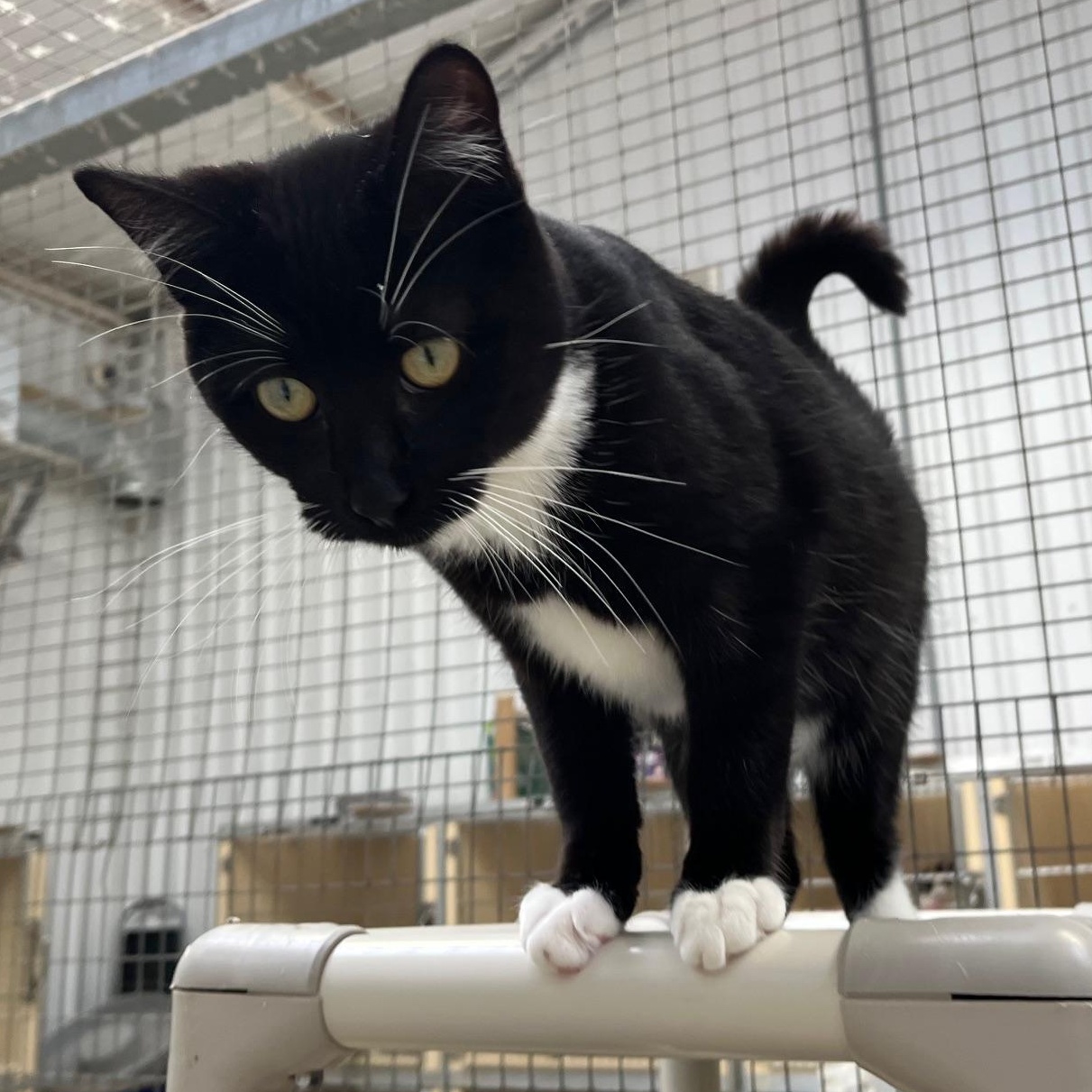 Spencer Tracy thumbnail 5