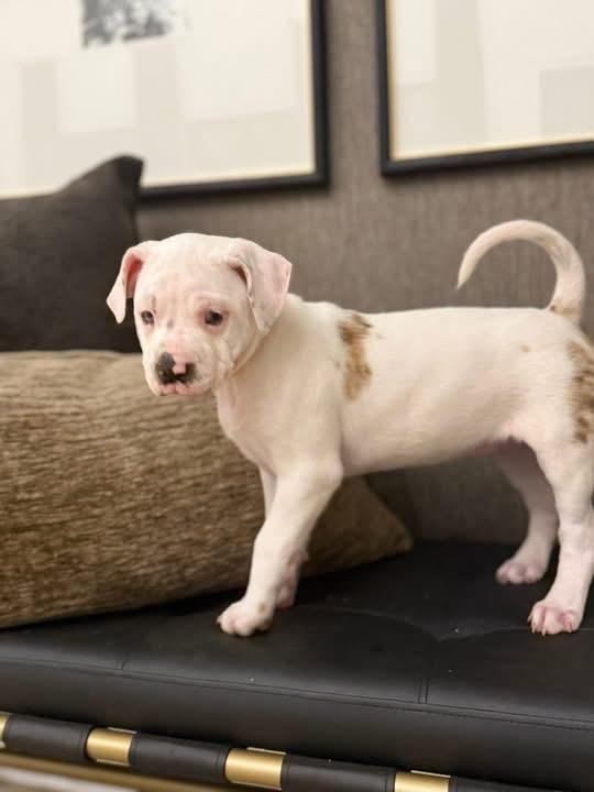 Ellen Griswold thumbnail 2