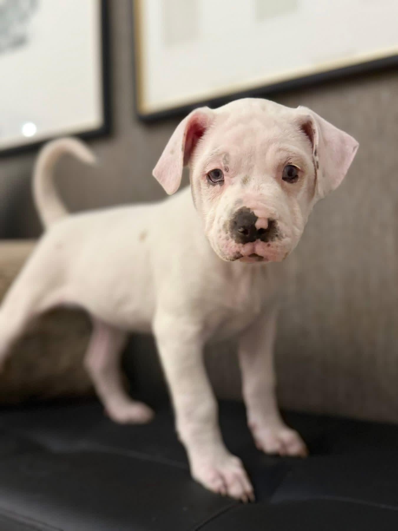 Ellen Griswold thumbnail 3