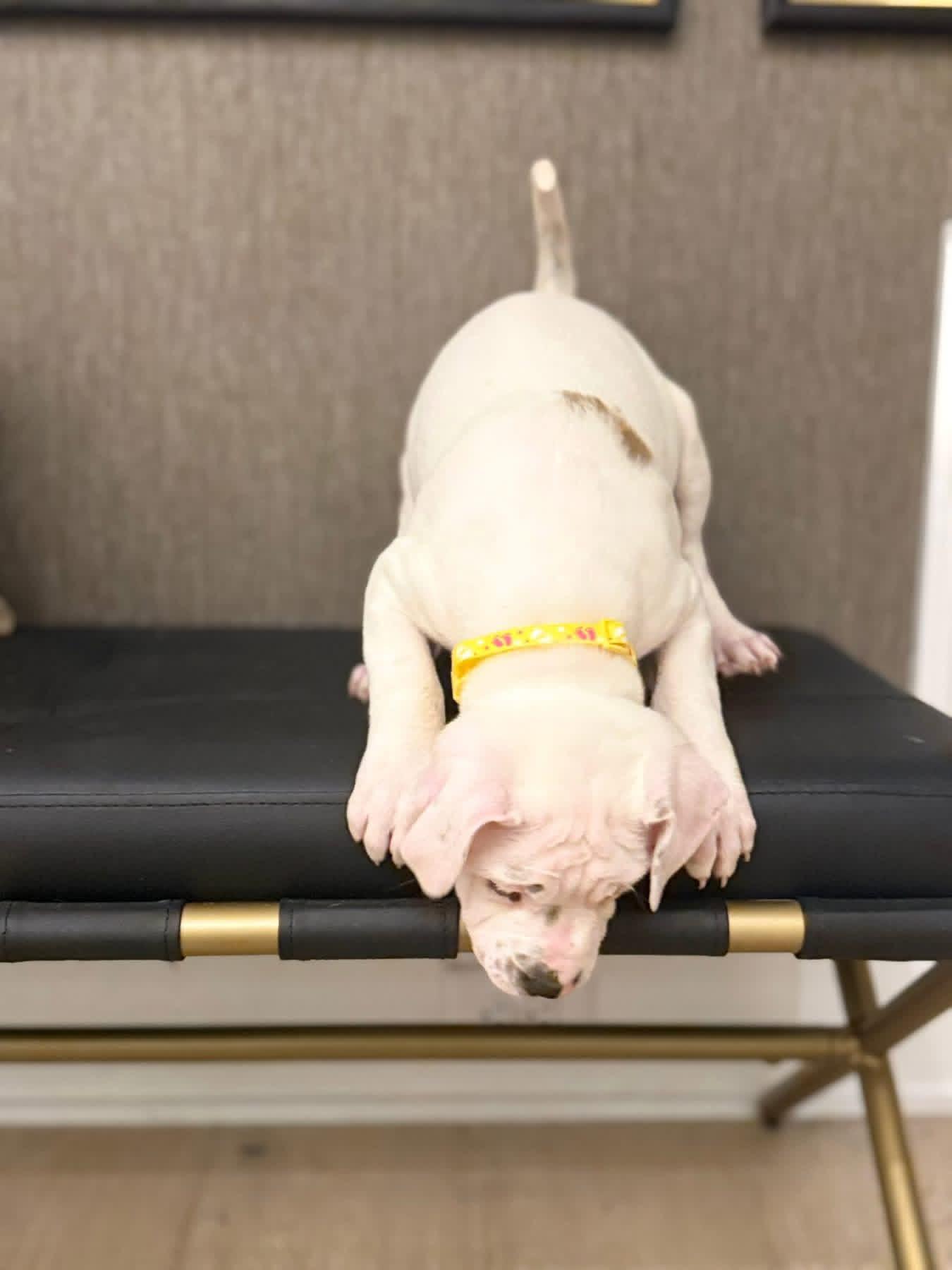 Ellen Griswold thumbnail 4