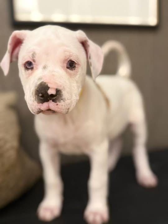 Ellen Griswold thumbnail 5