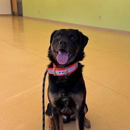 Praytell thumbnail 6