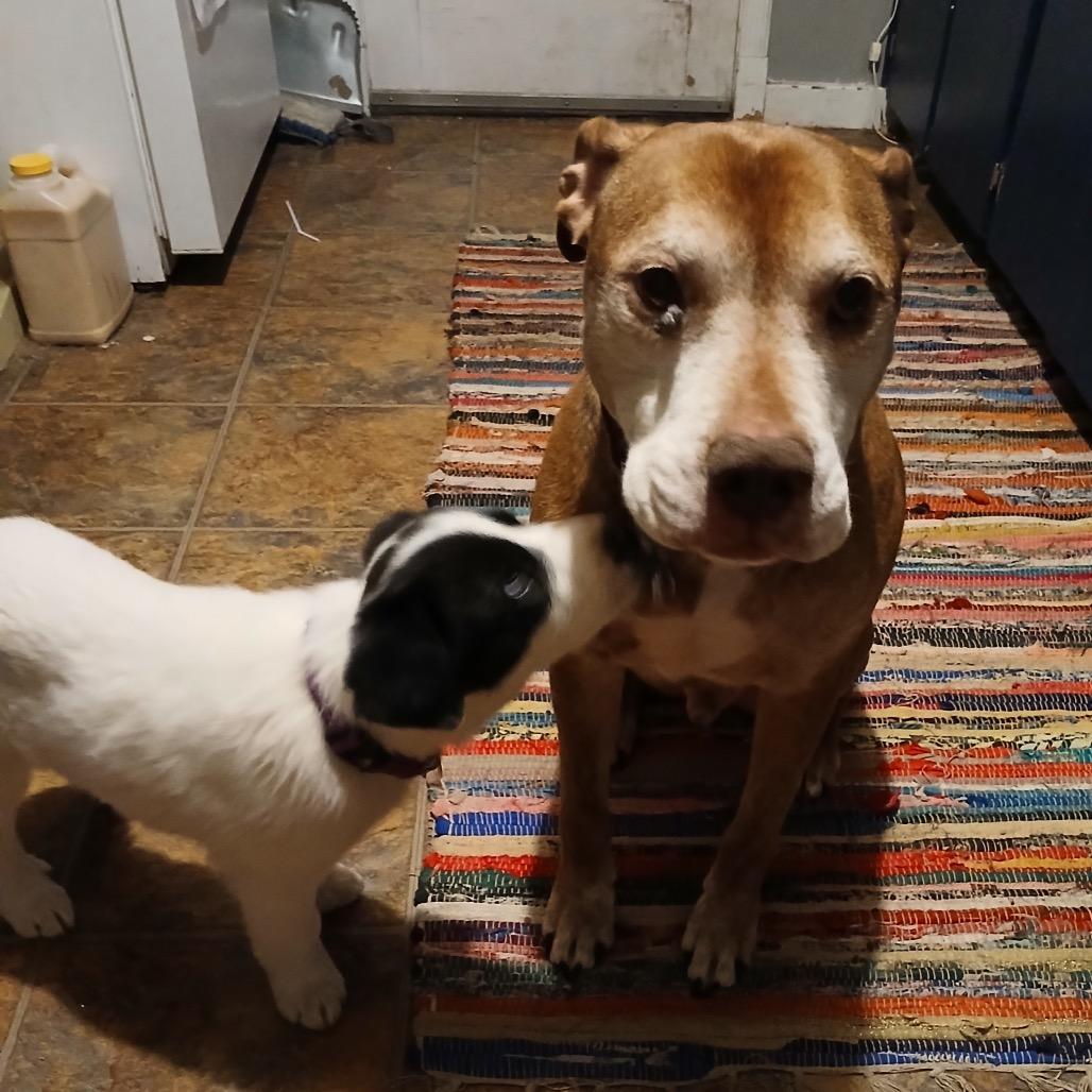 Janet Wood thumbnail 2