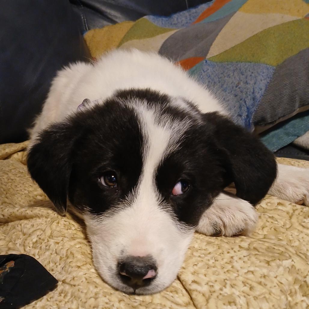 Janet Wood thumbnail 3