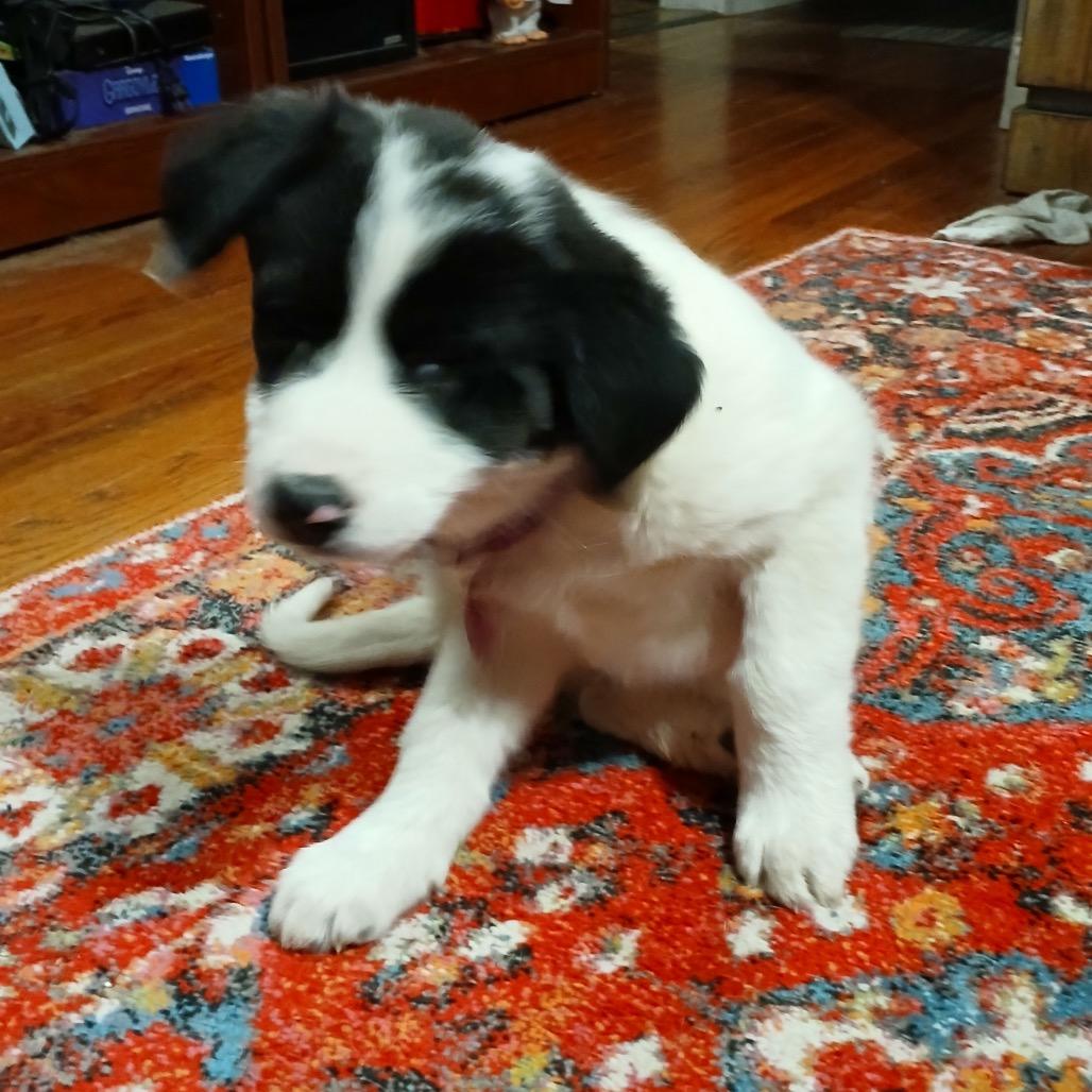 Janet Wood thumbnail 4