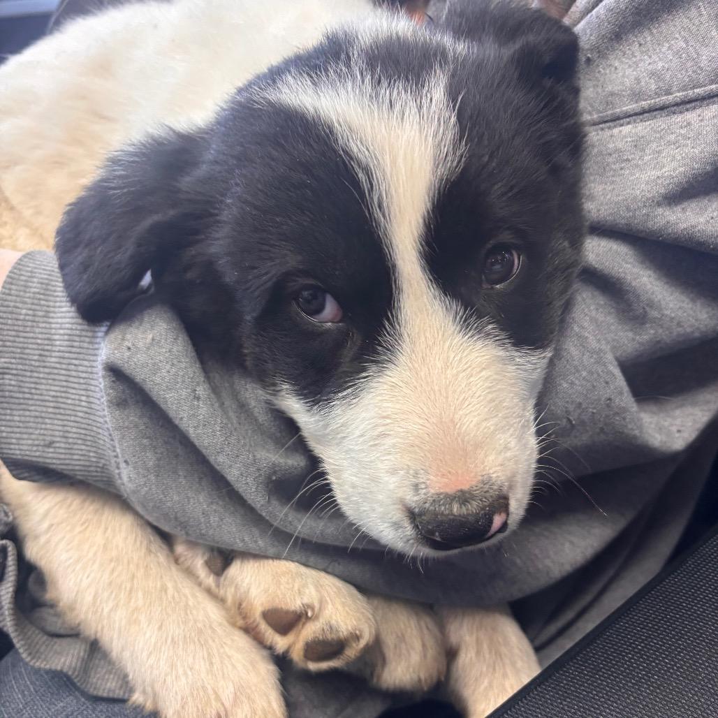 Janet Wood thumbnail 5