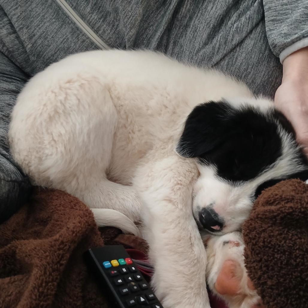 Janet Wood thumbnail 6