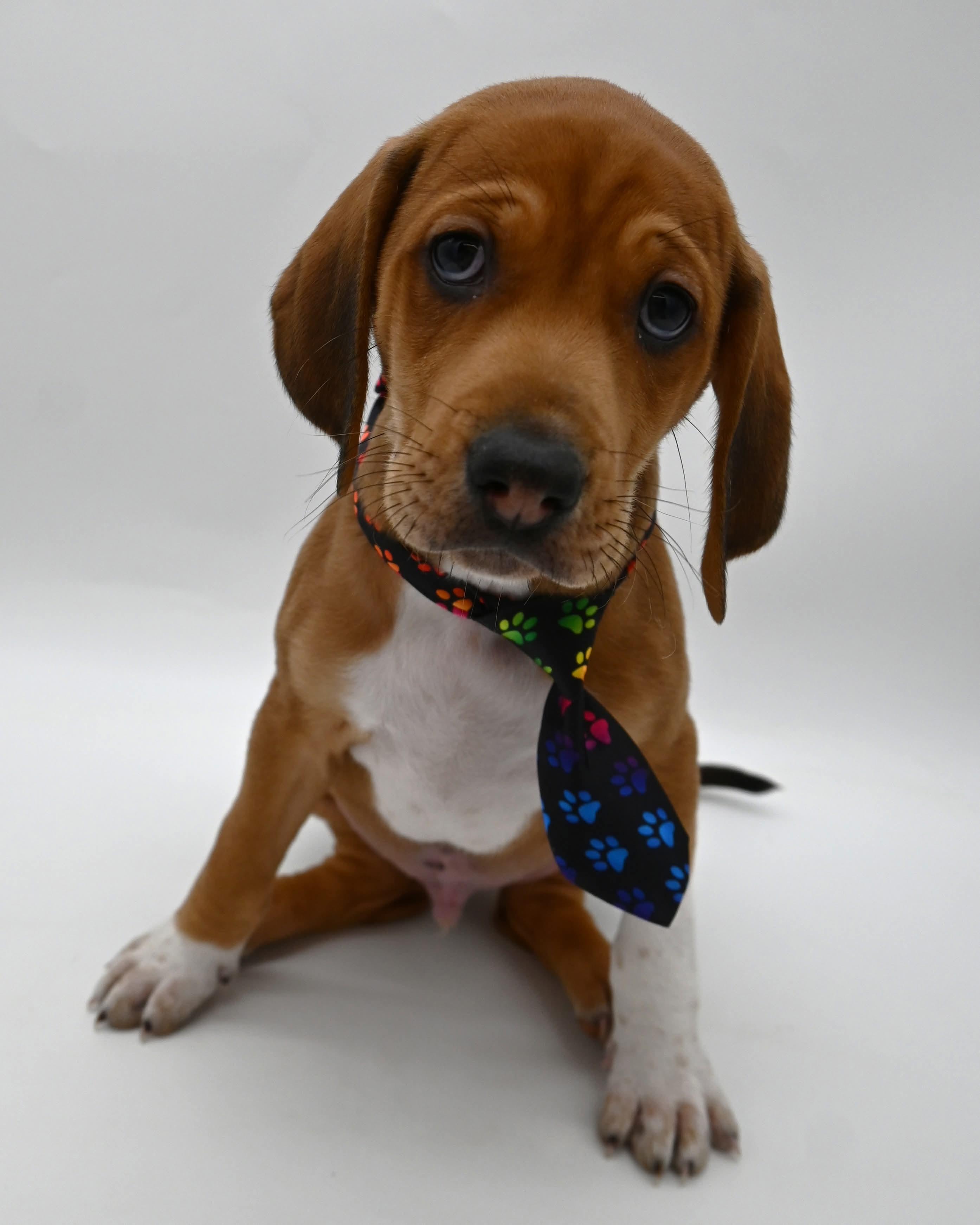 Waylon Is A Super thumbnail 2