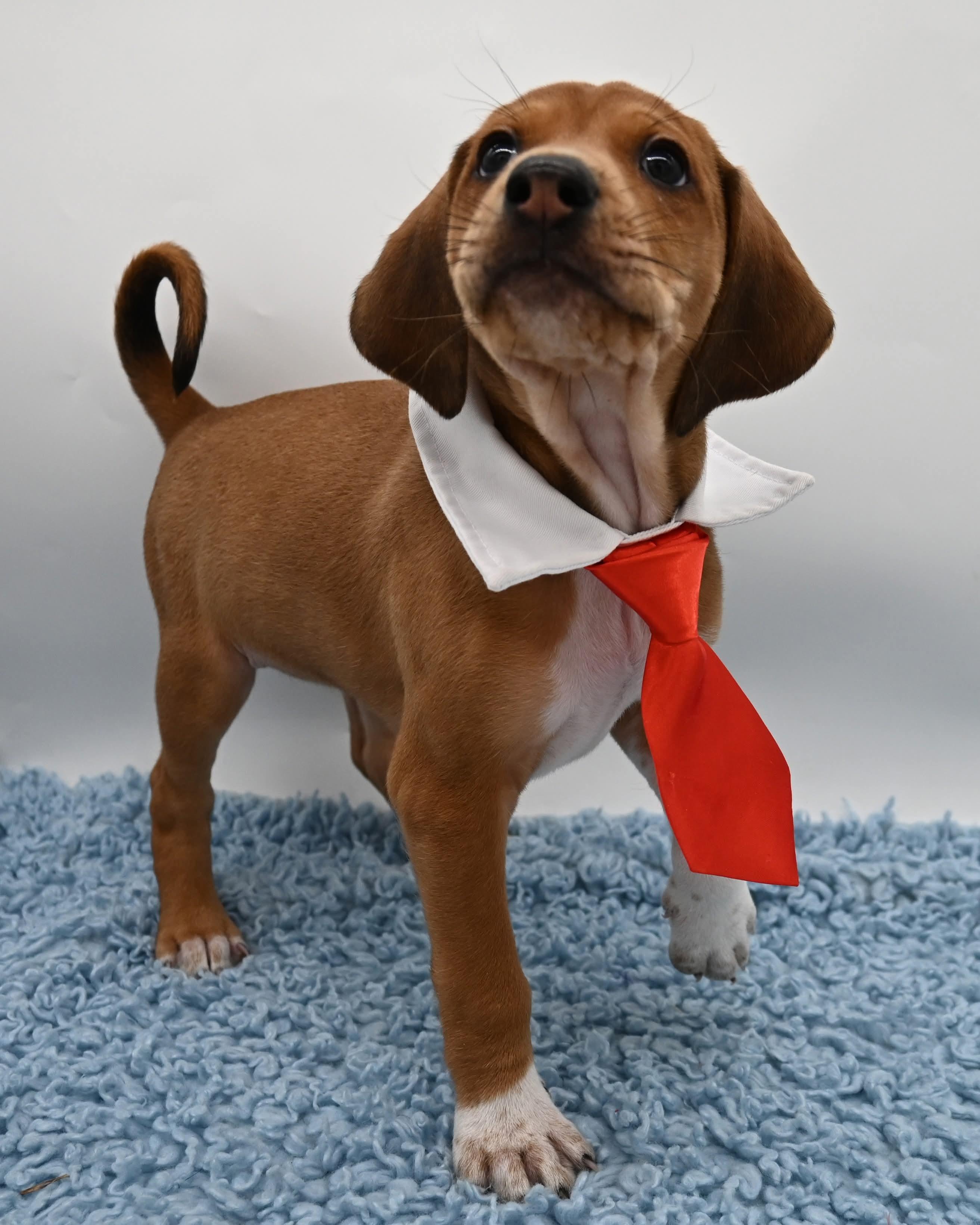 Waylon Is A Super thumbnail 3