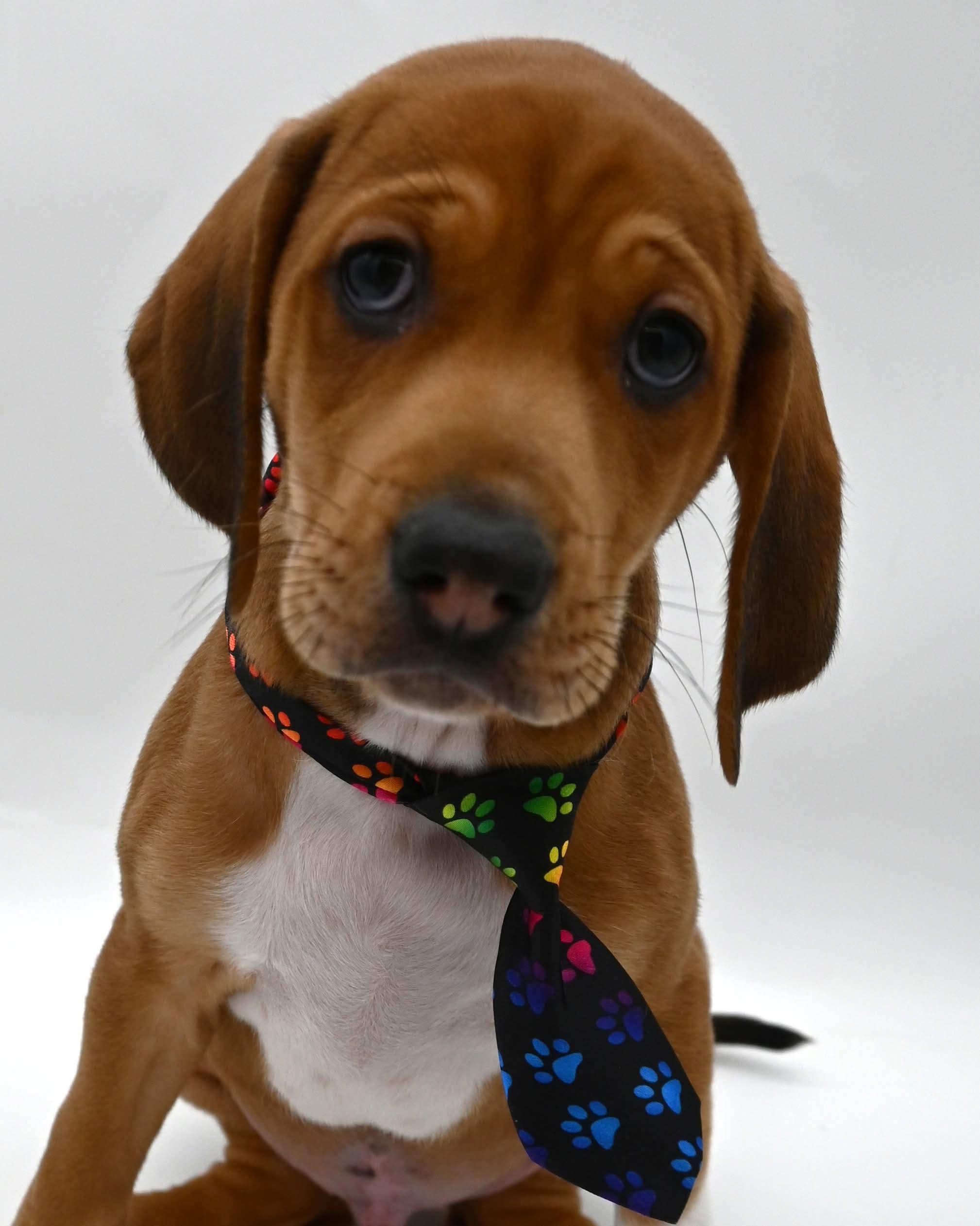 Waylon Is A Super thumbnail 4