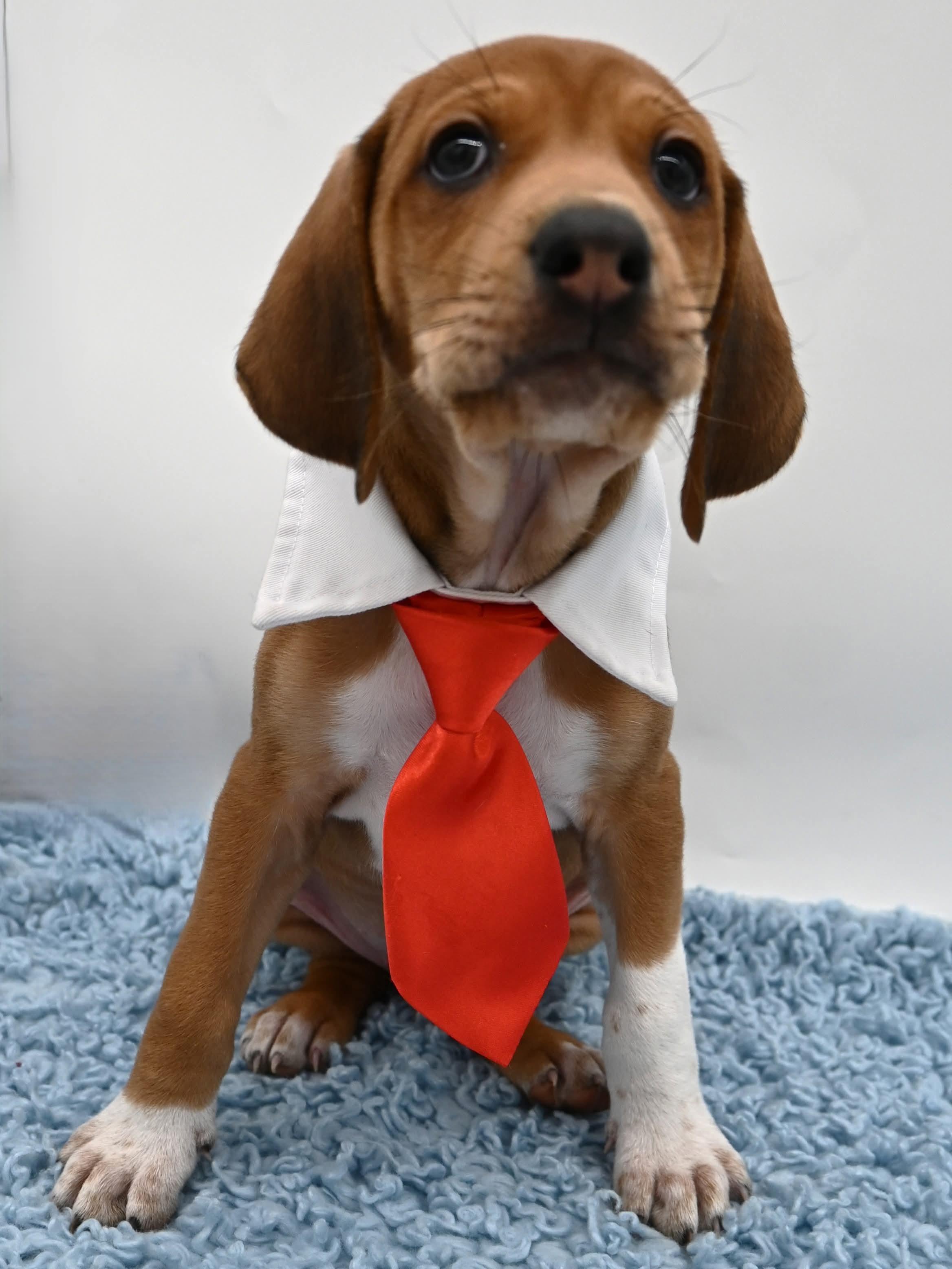 Waylon Is A Super thumbnail 6