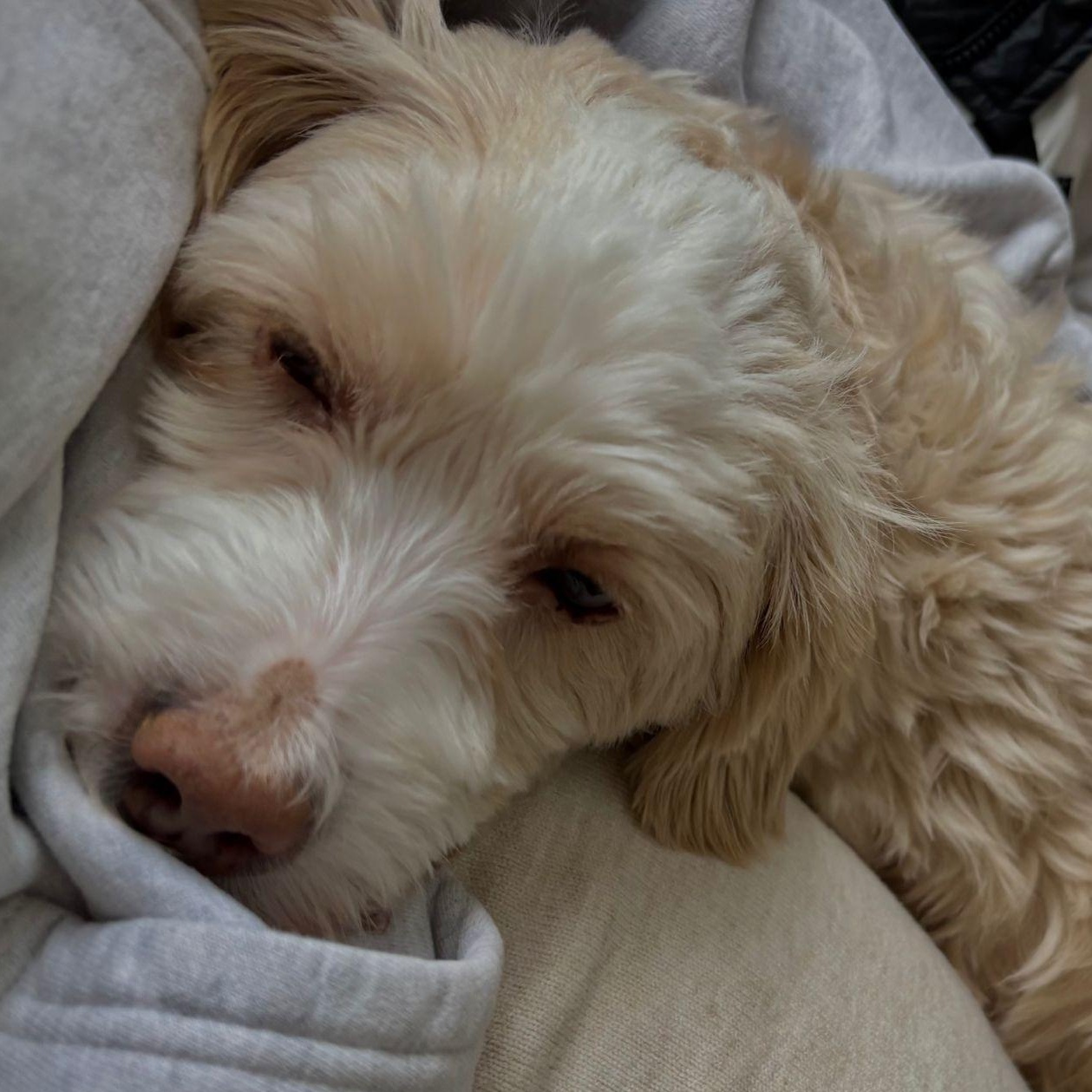 Mr. Happy Oliver thumbnail 2