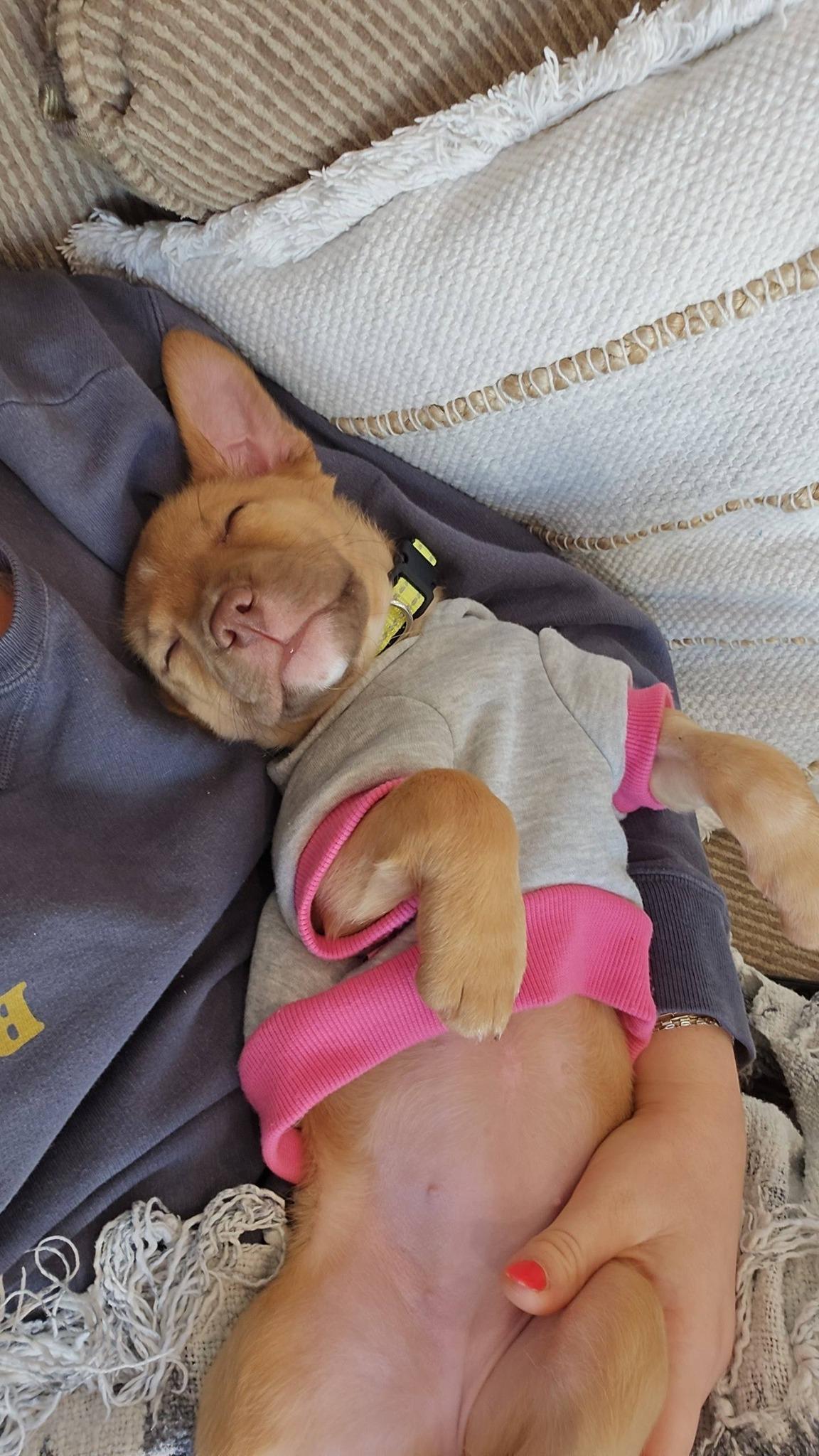 Baby Mona thumbnail 2