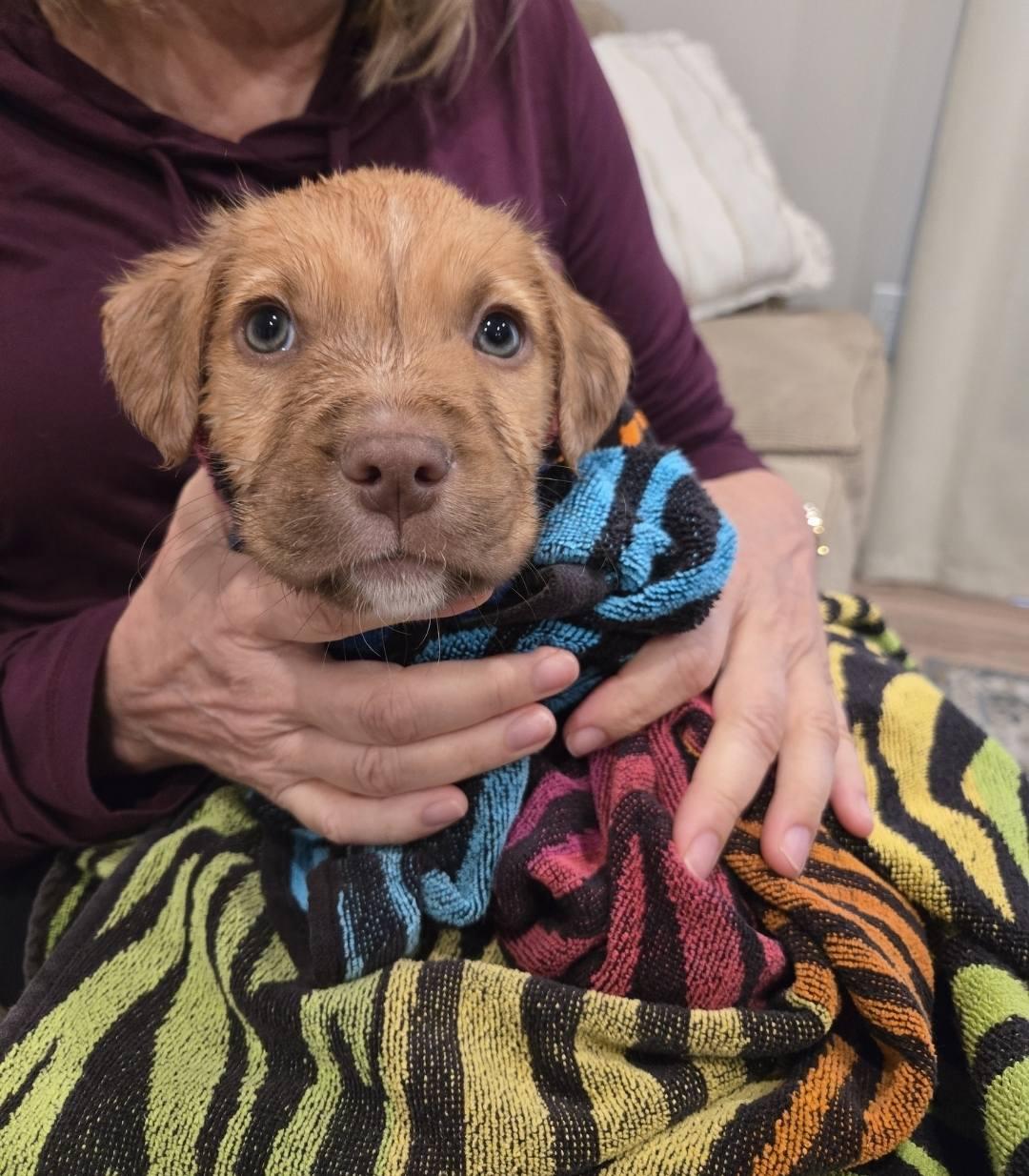 Baby Mona thumbnail 3