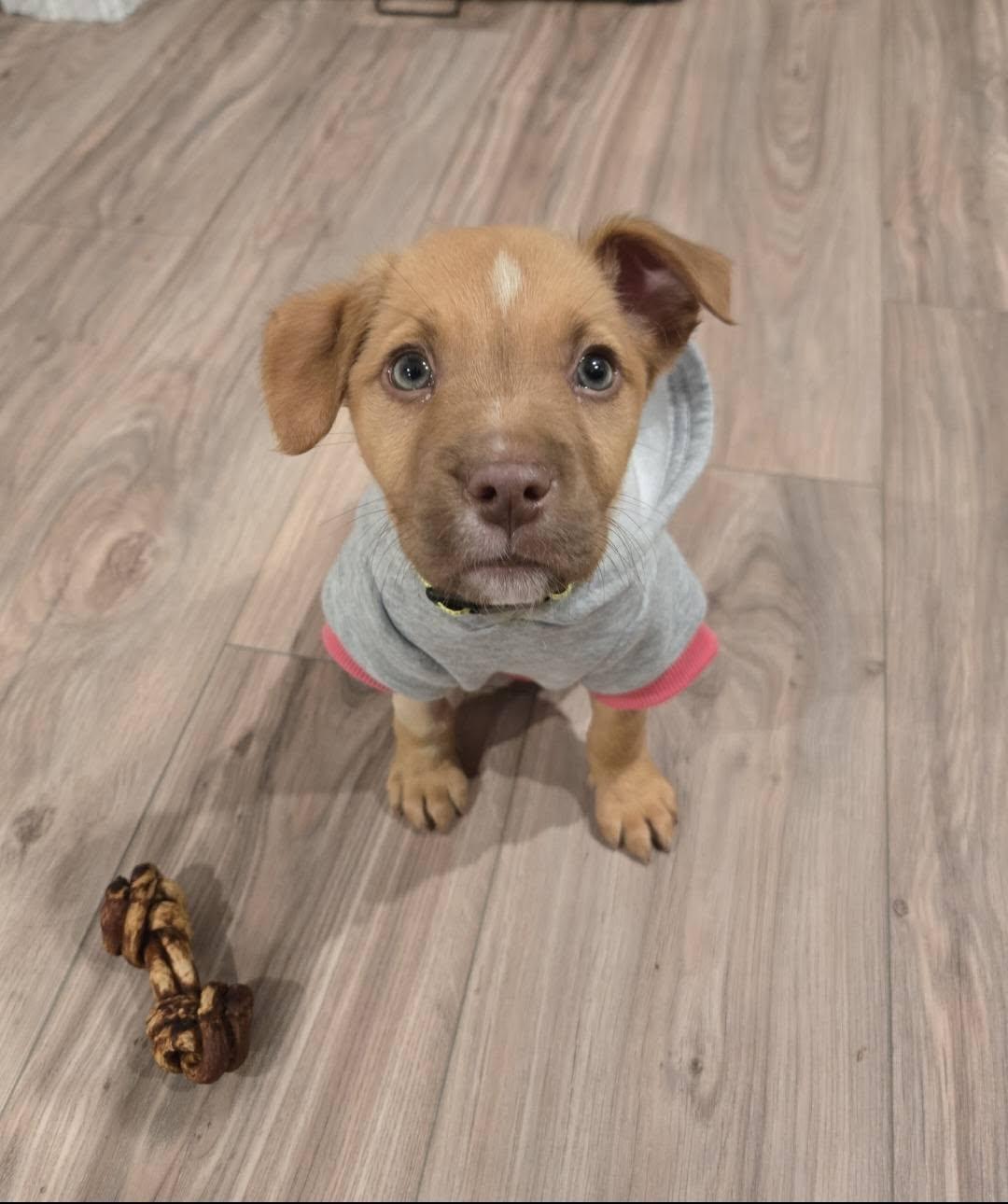 Baby Mona thumbnail 4