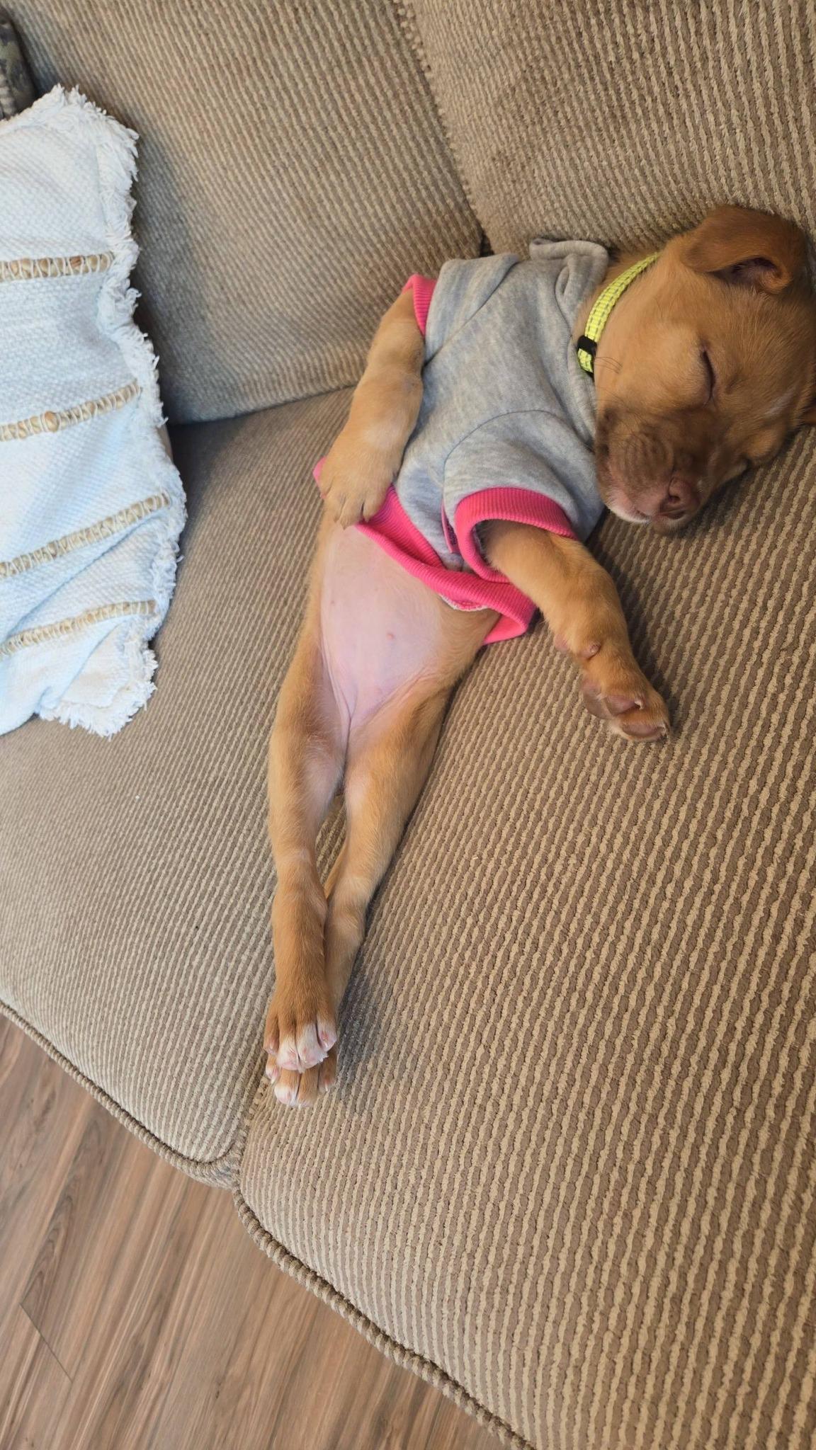 Baby Mona thumbnail 5