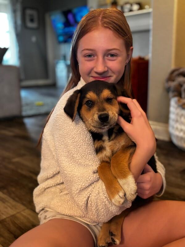 Smore Honeybun thumbnail 2