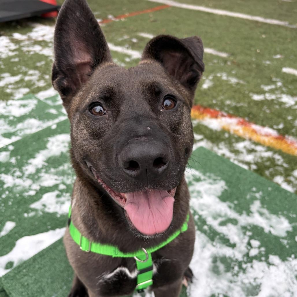 Rainbow Supernova thumbnail 2