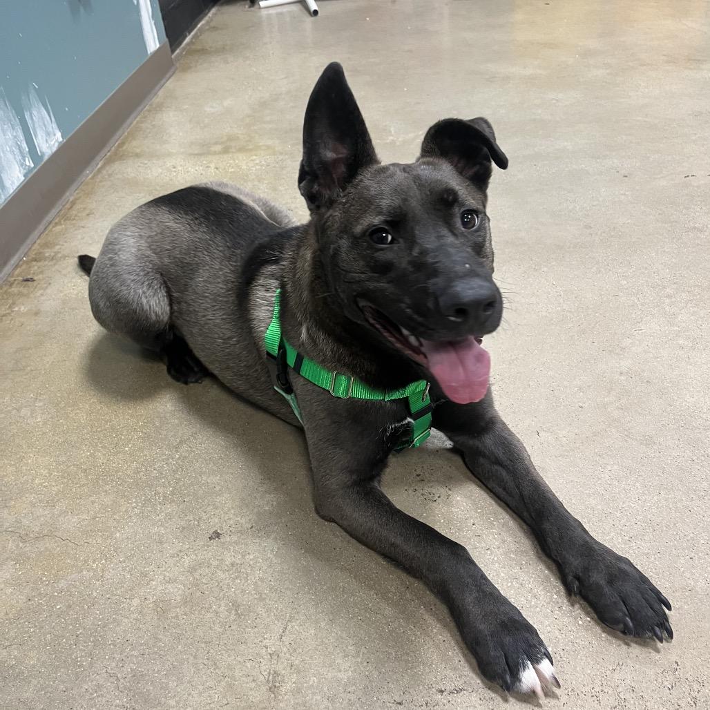 Rainbow Supernova thumbnail 3