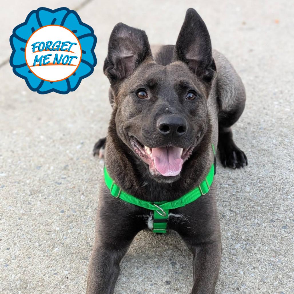 Rainbow Supernova thumbnail 4