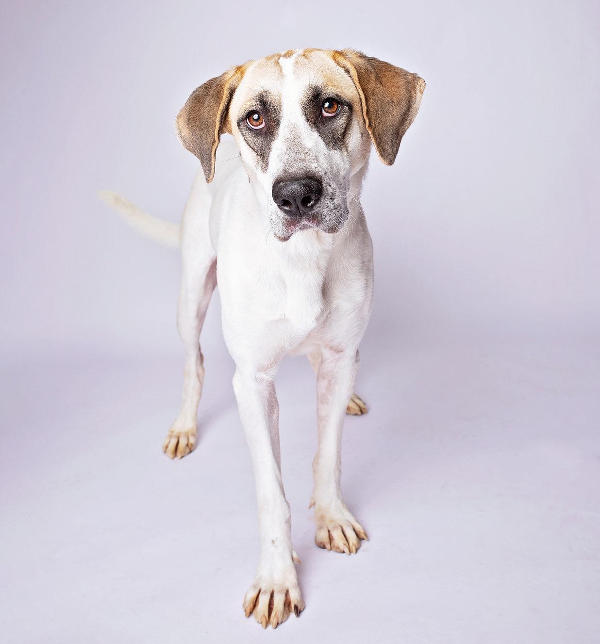 Rosabella thumbnail 4