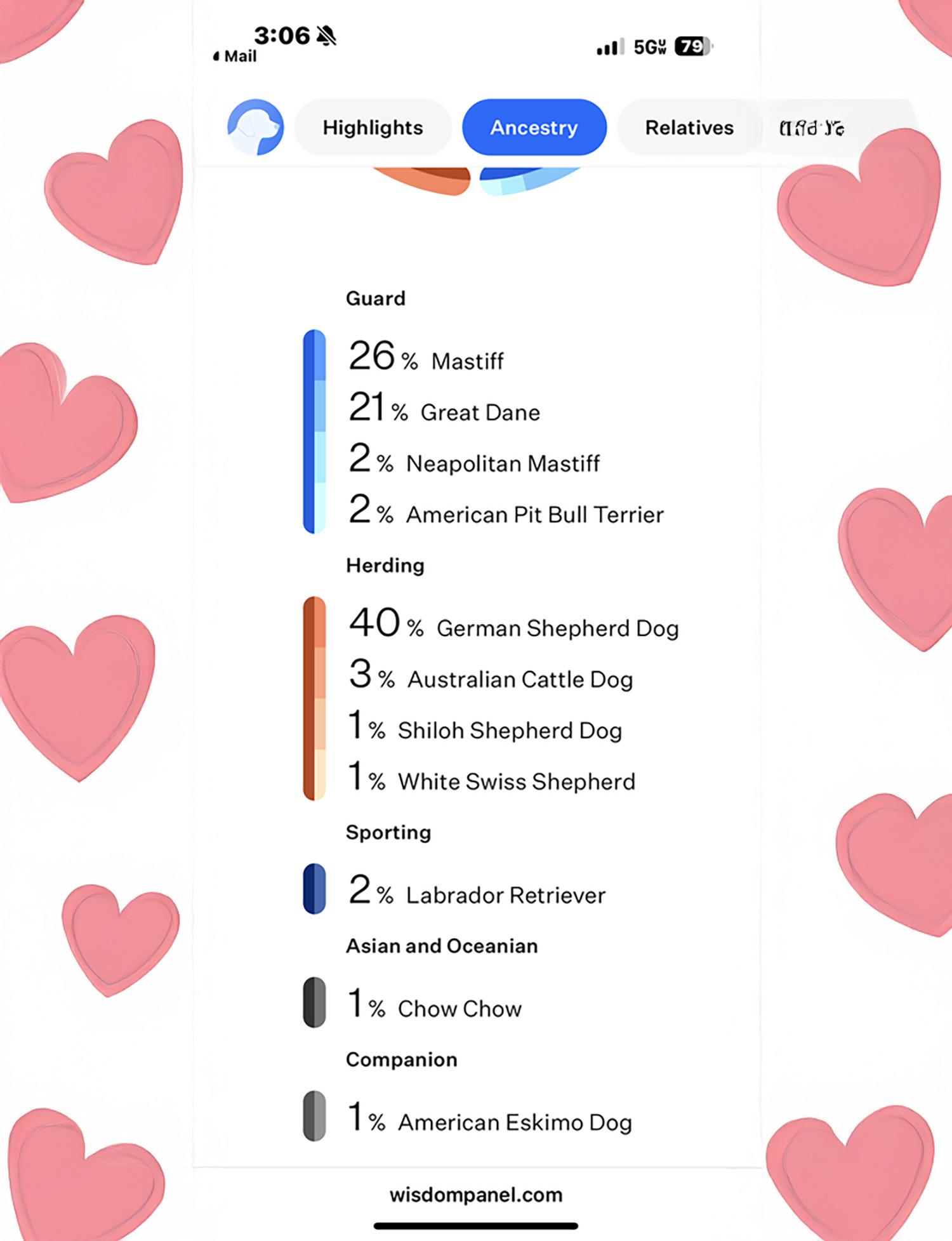 Rosabella thumbnail 5