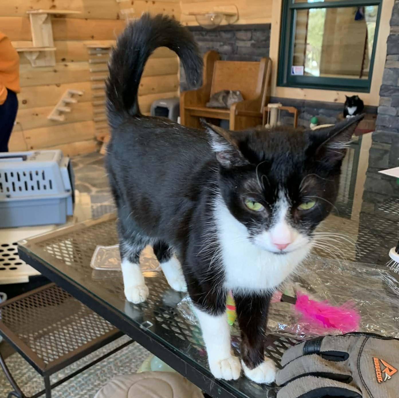 Mallo Cup thumbnail 6