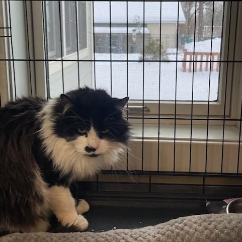 Sebastian thumbnail 3