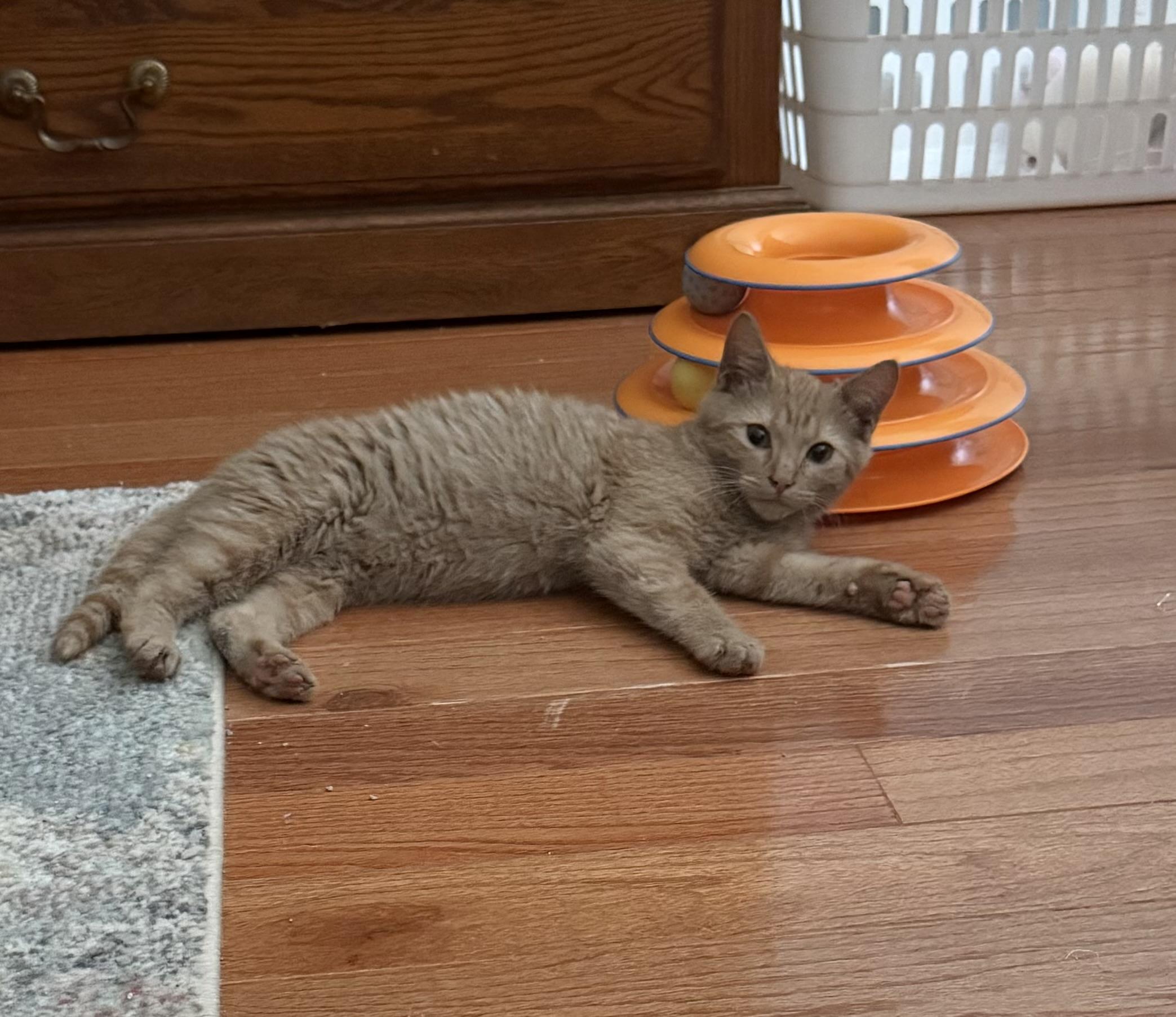 Titan & Flicker thumbnail 5