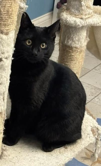 Hutchinson thumbnail 2